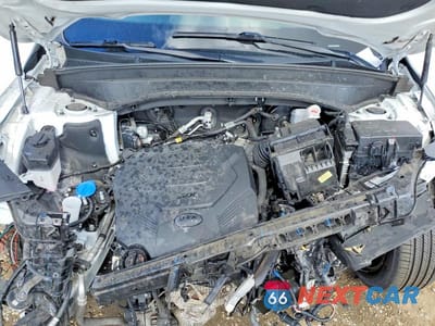 Zdjęcie 12 z 13 samochodu: 2021 KIA TELLURIDE S VIN:5XYP64HC1MG145082 - miniatura