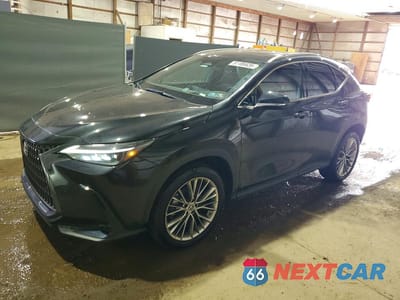 2022 LEXUS NX 350 2T2HGCEZ6NC010578 - główne zdjęcie licytacji z USA - miniatura