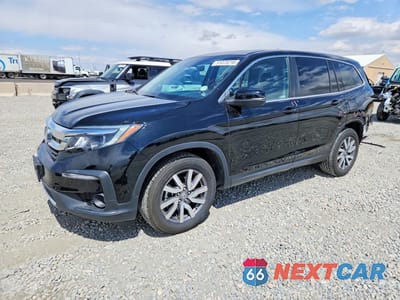 2019 HONDA PILOT EXL 5FNYF6H54KB100952 - główne zdjęcie licytacji z USA - miniatura