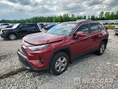 2025 TOYOTA RAV4 XLE 2T3W1RFV2SW432778 - główne zdjęcie licytacji z USA - miniatura