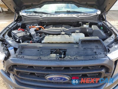 Zdjęcie 11 z 13 samochodu: 2023 FORD F150 SUPERCREW VIN:1FTFW1ED0PFC75451 - miniatura