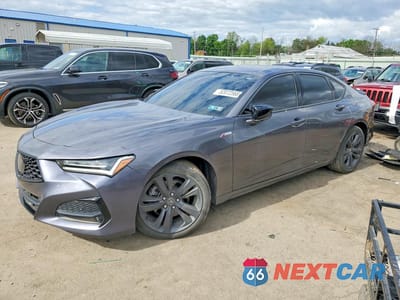 2022 ACURA TLX TECH A 19UUB6F51NA002621 - główne zdjęcie licytacji z USA - miniatura