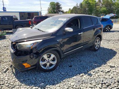 2019 FORD ESCAPE S 1FMCU0F70KUA87492 - główne zdjęcie licytacji z USA - miniatura