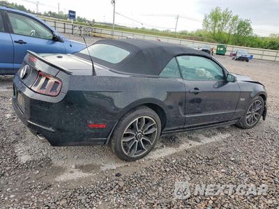 Trzecie zdjęcie samochodu z tyłu: 2014 FORD MUSTANG GT VIN:1ZVBP8FF8E5332919 - miniatura