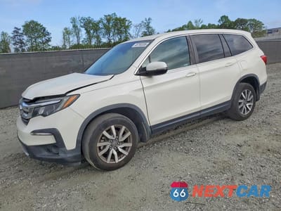 2019 HONDA PILOT EXL 5FNYF6H49KB067552 - główne zdjęcie licytacji z USA - miniatura