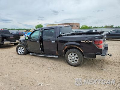 Drugie zdjęcie samochodu z przodu: 2013 FORD F150 SUPERCREW VIN:1FTFW1ET7DKD80871 - miniatura