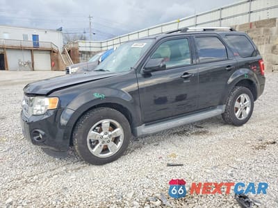 2011 FORD ESCAPE LIMITED 1FMCU9EG9BKA26613 - główne zdjęcie licytacji z USA - miniatura