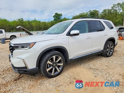 2024 HONDA PILOT ELITE 5FNYG1H83RB036276 - główne zdjęcie licytacji z USA - miniatura