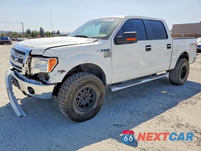 2013 FORD F150 SUPERCREW 1FTFW1EF6DKD54675 - główne zdjęcie licytacji z USA - miniatura