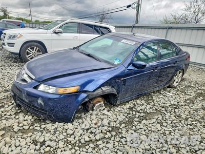 2005 ACURA TL 19UUA66245A021558 - główne zdjęcie licytacji z USA - miniatura