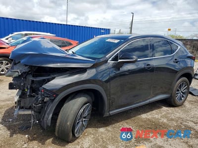 2024 LEXUS NX 250 BASE 2T2ADCAZ2RC010874 - główne zdjęcie licytacji z USA - miniatura