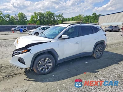 2024 HYUNDAI TUCSON BLUE KM8JBCD18RU156520 - główne zdjęcie licytacji z USA - miniatura