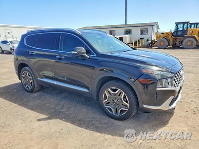 Czwarte zdjęcie samochodu z boku: 2023 HYUNDAI SANTA FE SEL PREMIUM VIN:5NMS3DA15PH000147 - miniatura