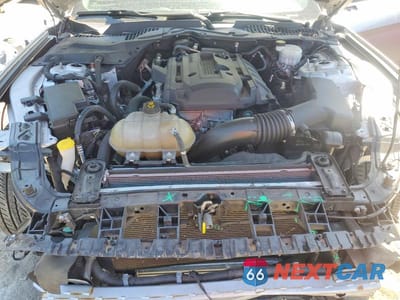 Zdjęcie 11 z 13 samochodu: 2019 FORD MUSTANG VIN:1FA6P8TH3K5200095 - miniatura