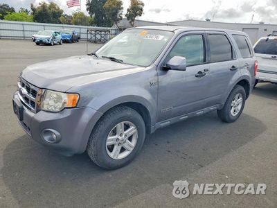 2008 FORD ESCAPE HEV 1FMCU49H88KB33022 - główne zdjęcie licytacji z USA - miniatura