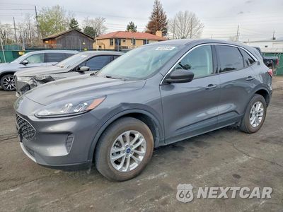 2022 FORD ESCAPE 1FMCU9BZ6NUB46367 - główne zdjęcie licytacji z USA - miniatura