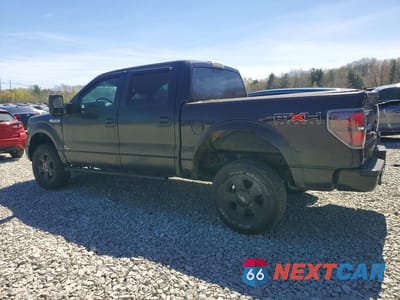 Drugie zdjęcie samochodu z przodu: 2009 FORD F150 SUPERCREW VIN:1FTPW14V69FA74350 - miniatura