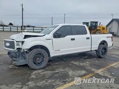 2019 FORD F150 SUPERCREW 1FTFW1E19KFC12637 - główne zdjęcie licytacji z USA - miniatura