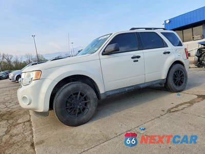 2011 FORD ESCAPE XLT 1FMCU0D70BKA31471 - główne zdjęcie licytacji z USA - miniatura