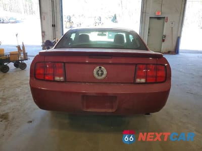 Zdjęcie 6 z 12 samochodu: 2008 FORD MUSTANG VIN:1ZVHT80N785132754 - miniatura