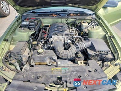 Zdjęcie 11 z 12 samochodu: 2005 FORD MUSTANG GT VIN:1ZVFT85H555211569 - miniatura