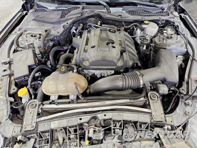 Zdjęcie 11 z 12 samochodu: 2019 FORD MUSTANG VIN:1FA6P8TH2K5172077 - miniatura