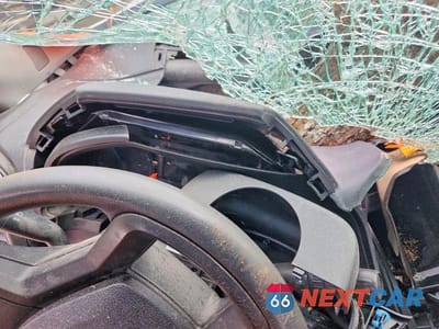 Zdjęcie 9 z 11 samochodu: 2017 FORD F250 SUPER DUTY VIN:1FT7X2B63HEE62235 - miniatura