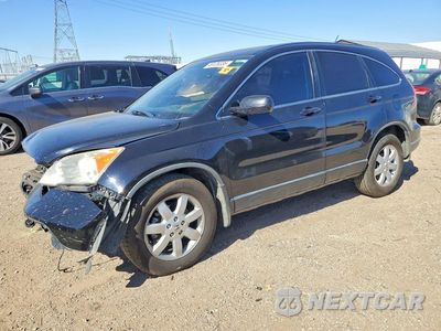 2007 HONDA CR-V EXL JHLRE38737C061592 - główne zdjęcie licytacji z USA - miniatura