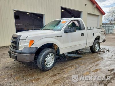 2014 FORD F150 1FTMF1EM4EFC27570 - główne zdjęcie licytacji z USA - miniatura