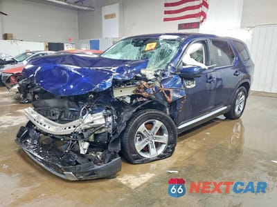 2025 HONDA PILOT EXL 5FNYG1H41SB084247 - główne zdjęcie licytacji z USA - miniatura