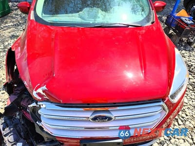 Zdjęcie 12 z 13 samochodu: 2019 FORD ESCAPE SE VIN:1FMCU9GD5KUA48793 - miniatura