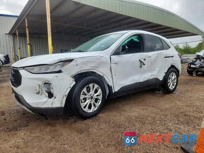 2024 FORD ESCAPE ACTIVE 1FMCU0GN5RUB14239 - główne zdjęcie licytacji z USA - miniatura