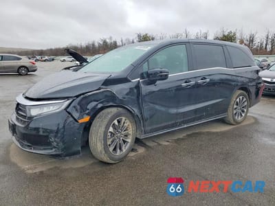 2024 HONDA ODYSSEY EXL 5FNRL6H68RB074730 - główne zdjęcie licytacji z USA - miniatura