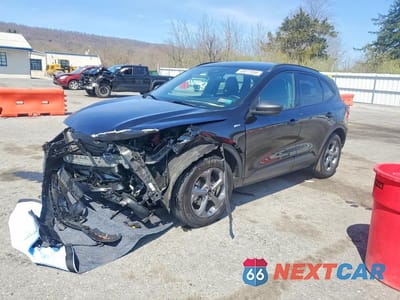 2025 FORD ESCAPE ST LINE 1FMCU9MN3SUA99559 - główne zdjęcie licytacji z USA - miniatura