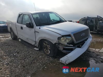 Czwarte zdjęcie samochodu z boku: 2004 FORD F150 VIN:1FTPX12534NB99014 - miniatura