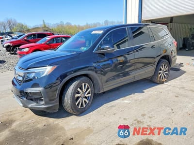 2021 HONDA PILOT EXL 5FNYF6H56MB099452 - główne zdjęcie licytacji z USA - miniatura