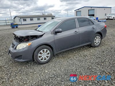 2009 TOYOTA COROLLA LE JTDBL40E299025400 - główne zdjęcie licytacji z USA - miniatura