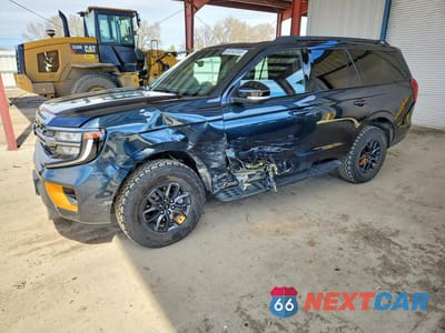 2025 FORD EXPEDITION TREMOR 1FMJU1RG8SEA62018 - główne zdjęcie licytacji z USA - miniatura