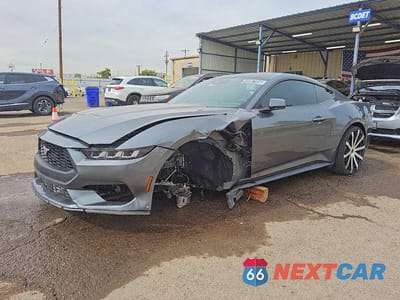 2025 FORD MUSTANG 1FA6P8TH8S5103913 - główne zdjęcie licytacji z USA - miniatura