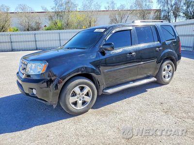 2011 HONDA PILOT EXL 5FNYF3H51BB022189 - główne zdjęcie licytacji z USA - miniatura