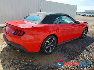 Trzecie zdjęcie samochodu z tyłu: 2024 FORD MUSTANG VIN:1FAGP8UH0R5140645 - miniatura