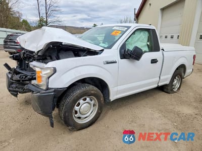 2019 FORD F150 1FTMF1CB3KKE67892 - główne zdjęcie licytacji z USA - miniatura
