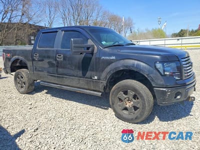 Czwarte zdjęcie samochodu z boku: 2009 FORD F150 SUPERCREW VIN:1FTPW14V69FA74350 - miniatura