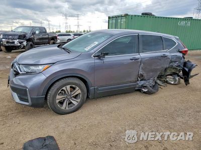 2020 HONDA CR-V LX 5J6RW2H24LL003391 - główne zdjęcie licytacji z USA - miniatura