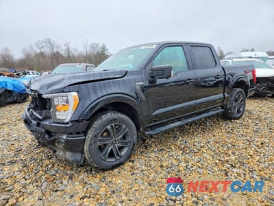 2021 FORD F150 SUPERCREW 1FTEW1EP5MFD14309 - główne zdjęcie licytacji z USA - miniatura