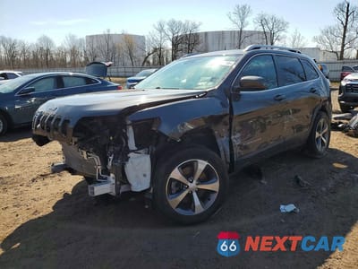 2021 JEEP CHEROKEE LIMITED 1C4PJMDX5MD228942 - główne zdjęcie licytacji z USA - miniatura
