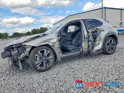 2019 LEXUS UX 250H JTHU9JBH8K2002083 - główne zdjęcie licytacji z USA - miniatura