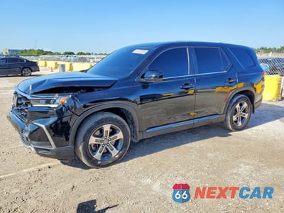 2024 HONDA PILOT EXL 5FNYG2H40RB003612 - główne zdjęcie licytacji z USA - miniatura