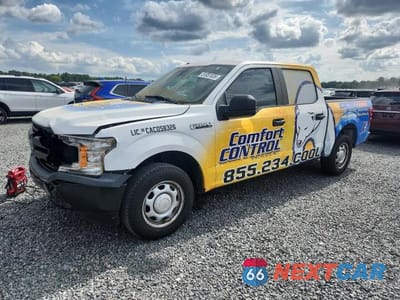 2019 FORD F150 1FTEW1CB0KFD10091 - główne zdjęcie licytacji z USA - miniatura