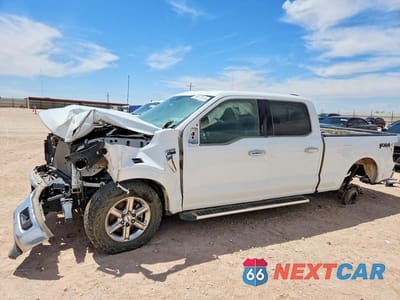 2024 FORD F150 XLT 1FTFW3L85RKD75167 - główne zdjęcie licytacji z USA - miniatura